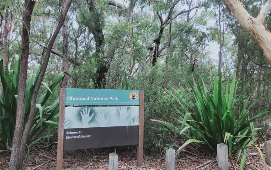 Maddens Falls, Darkes Forest, NSW