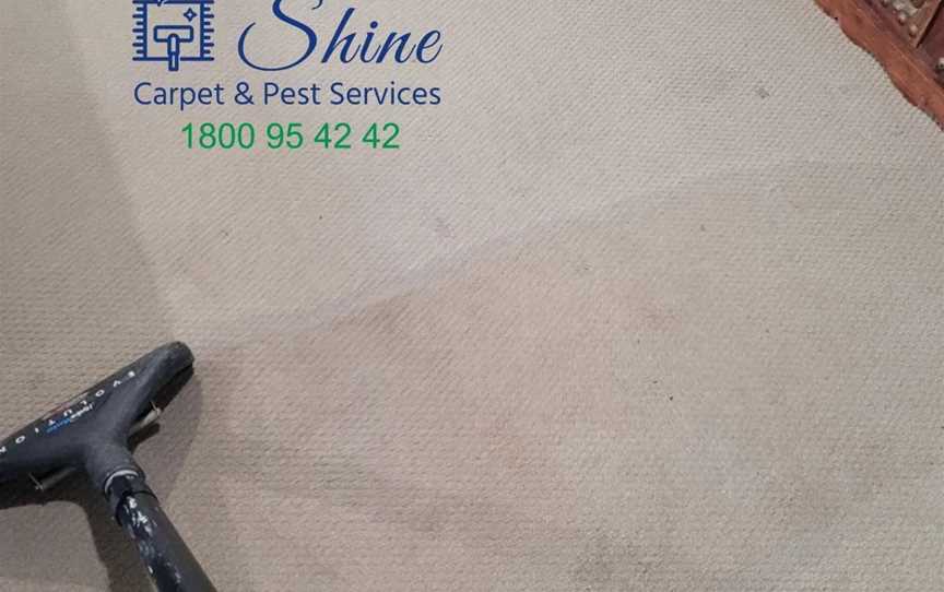 Shine Carpet and Pest Services, Business Directory in Boondall