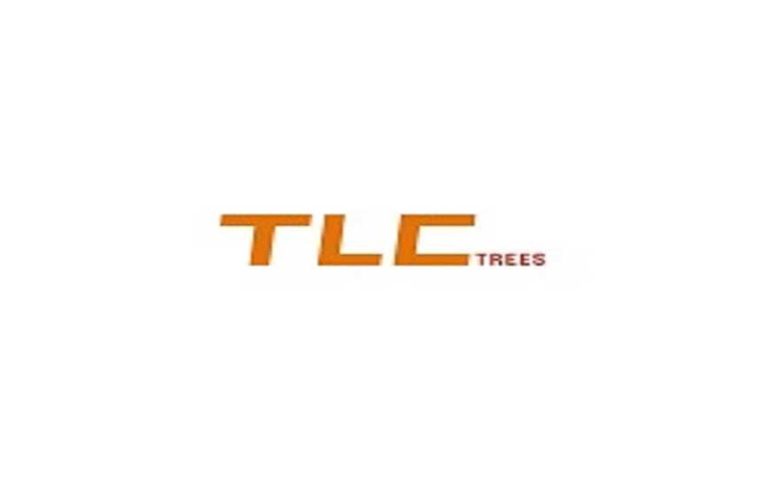 TLC Trees and Co, Business Directory in Ashgrove