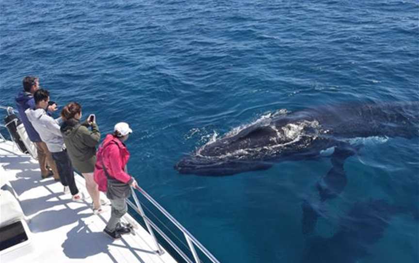 All Sea Charters, Tours in Busselton