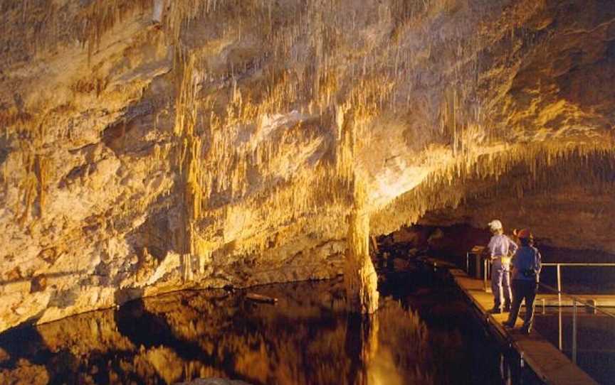 Calgardup Cave Tours, Tours in Boranup