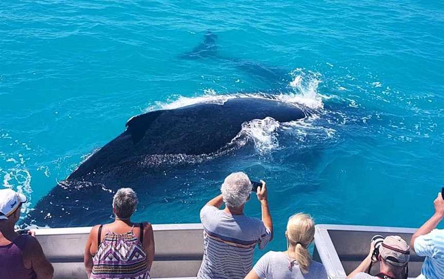 Absolute Ocean Charters, Tours in Broome - Suburb