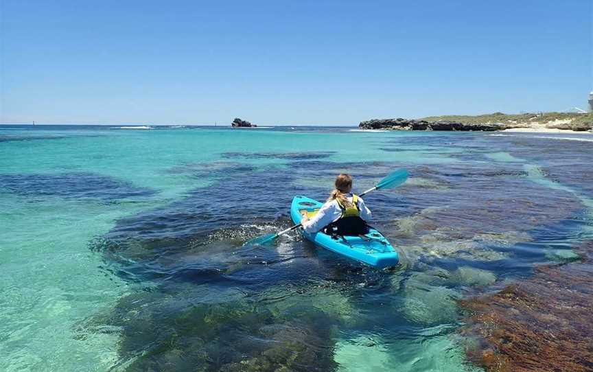 Rottnest Island Glass Bottom Sea Kayaking Tours, Tours in Rottnest Island