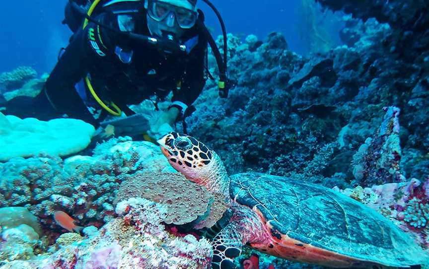 Dive Ningaloo, Tours in Exmouth