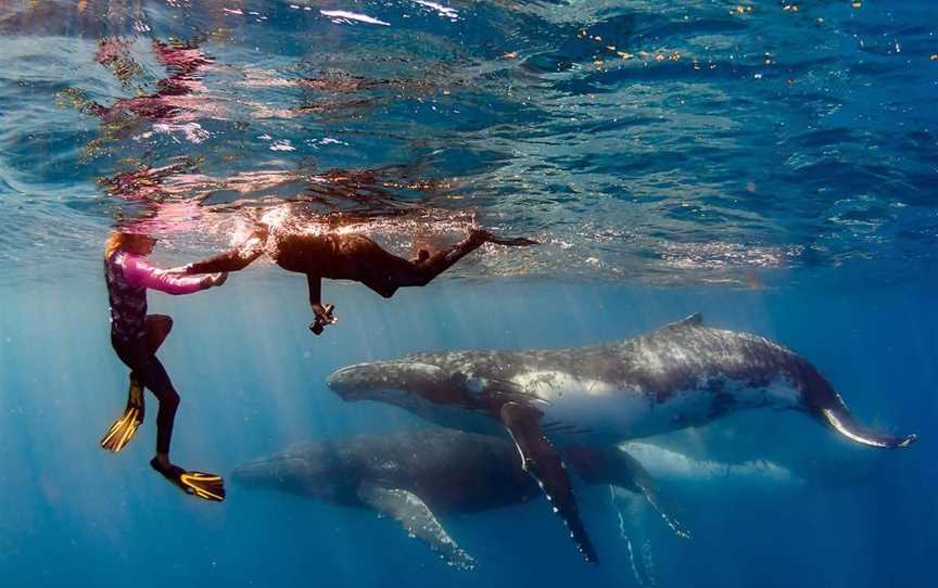 Live Ningaloo, Tours in Exmouth - Suburb
