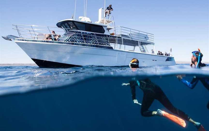 Ningaloo Discovery, Tours in Exmouth - Suburb