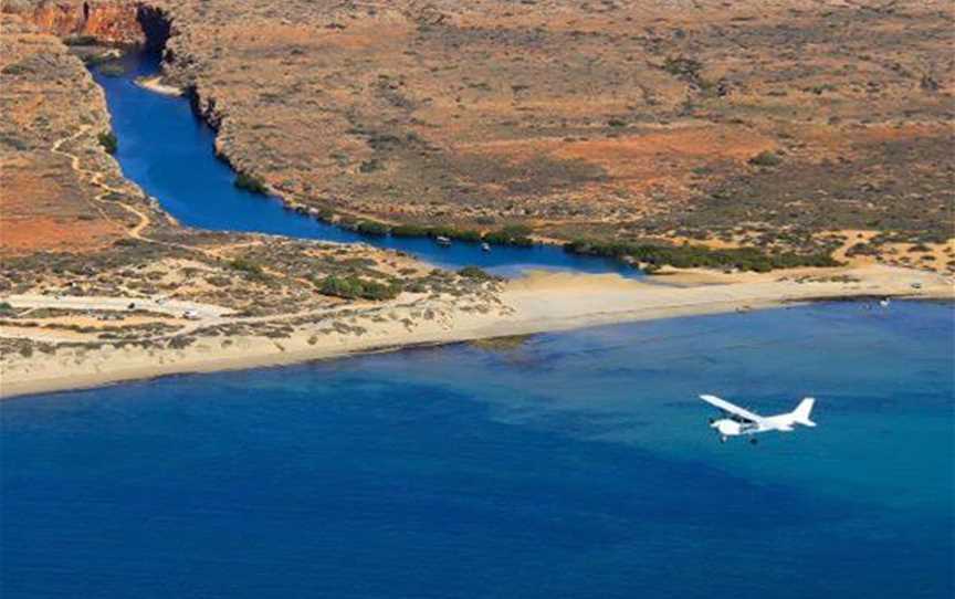 Ningaloo Aviation Tours, Tours in Exmouth