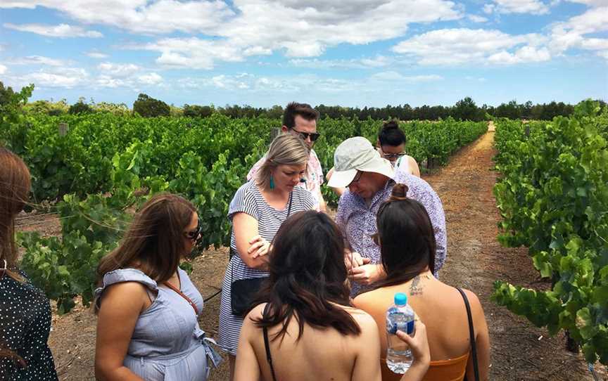 Vineyard tour in the Swan Valley