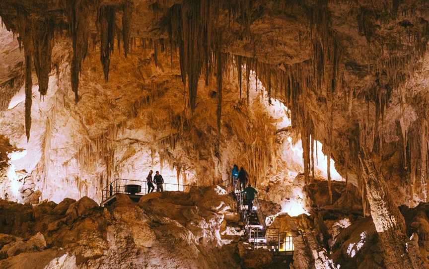 Mammoth Cave, Tours in Forest Grove