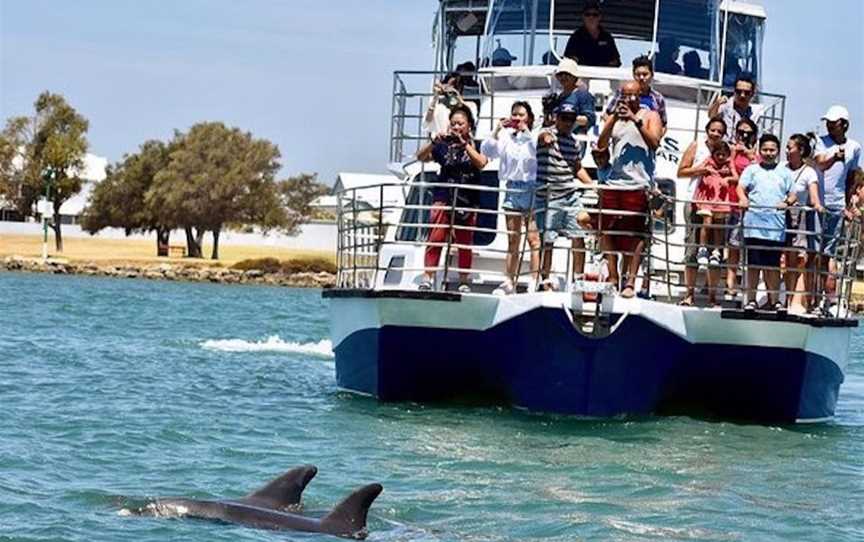 Mandurah Cruises- Dolphin and Scenic Marine Cruise, Tours in Mandurah - Town