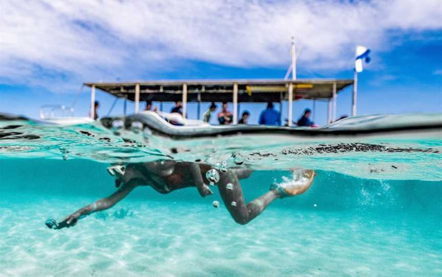 Ningaloo Glass Bottom Boat, Tours in Exmouth - Suburb