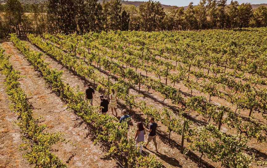 Up Close and Local Tours - Premium Swan Valley Wine Tours, Tours in Herne Hill