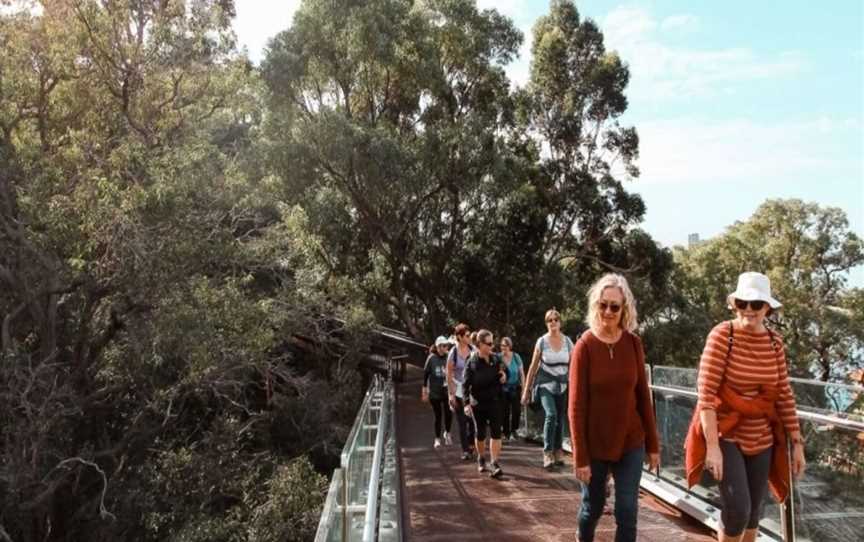 The Hike Collective, Tours in Perth CBD