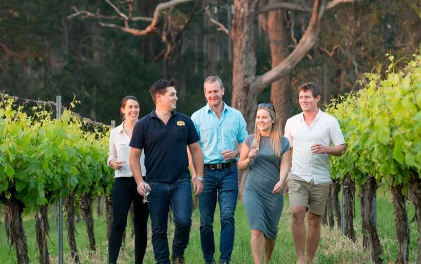 Experience the best of Southern Forests food, wine and art on this curated tour of experiences.