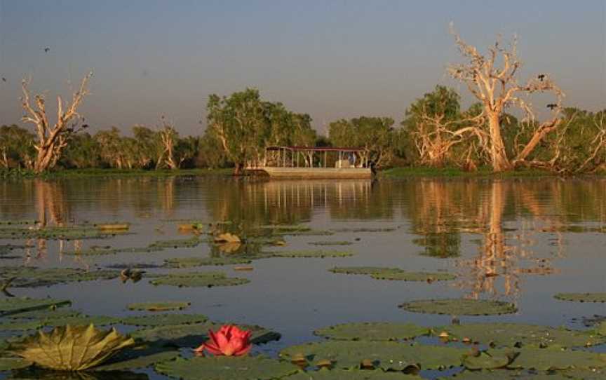 Wetland Cruises - Corroboree Billabong, Darwin, NT