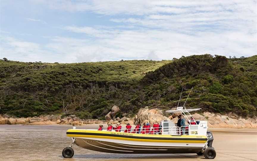 Wilsons Promontory Cruises, Wilsons Promontory National Park, VIC