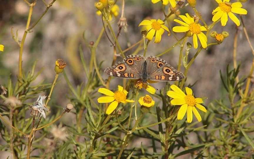 Discover Mildura - Day Tours, Mildura, VIC