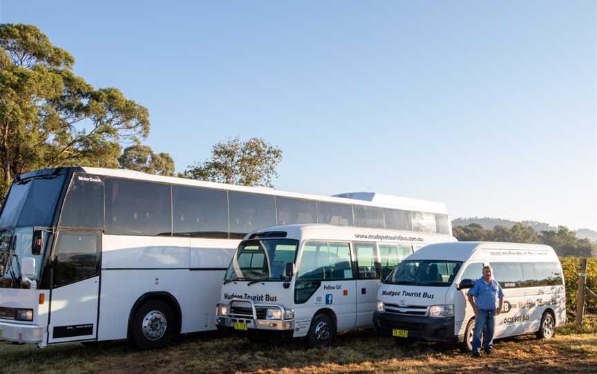 Mudgee Tourist Bus, Mudgee, NSW