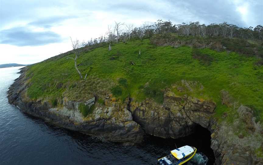 Pennicott Wilderness Journeys - Iron Pot Cruises, Hobart, TAS