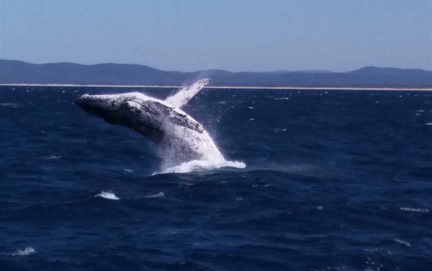 Free Spirit Cruises, Forster, NSW