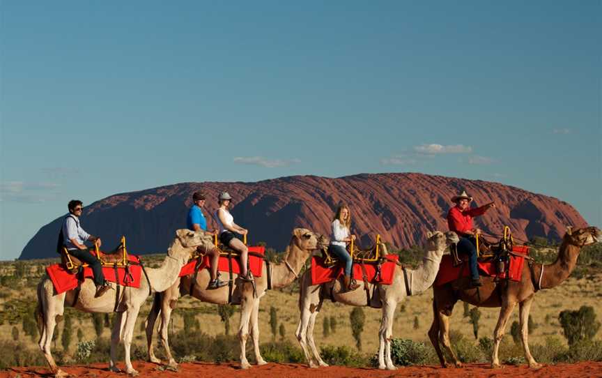 Uluru Camel Tours, Tours in Yulara