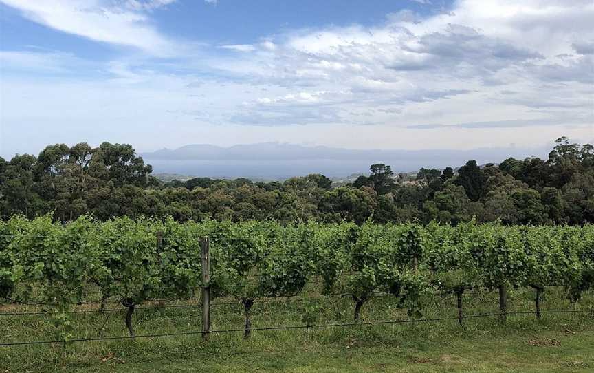 Peninsula Wine Tours, Mornington, VIC