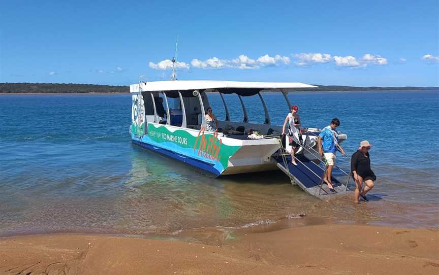 Hervey Bay Eco Marine Tours, Urangan, QLD