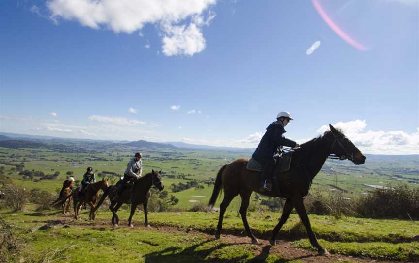 Watson's Mountain Country Trail Rides - Day Tours, Mansfield, VIC