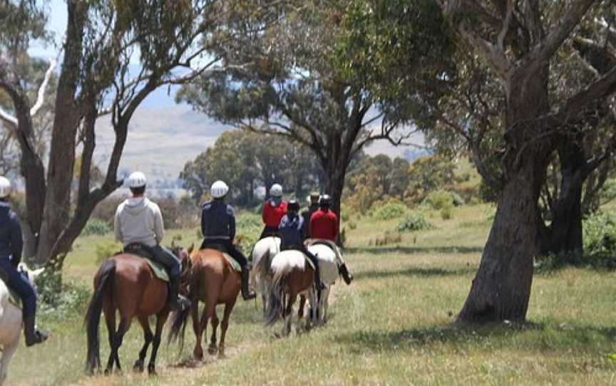 Watson's Mountain Country Trail Rides - Day Tours, Mansfield, VIC