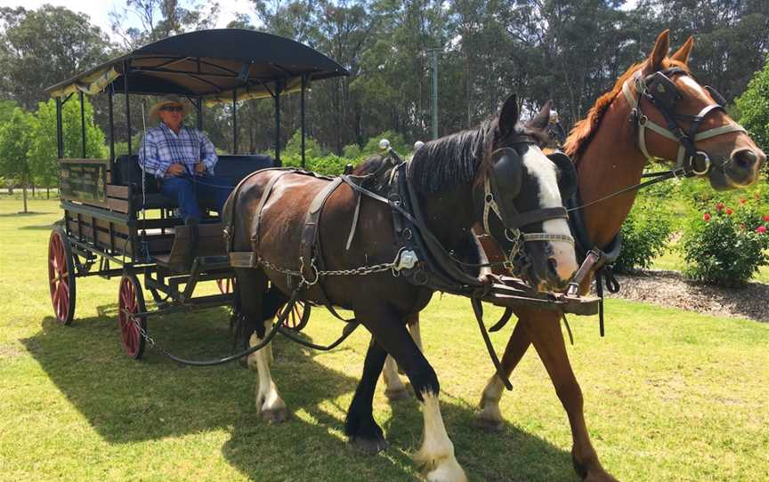 Hunter Valley Horses Carriage Tours, Pokolbin, NSW