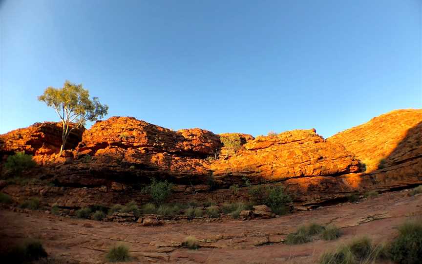Outback Tour Services, Alice Springs, NT