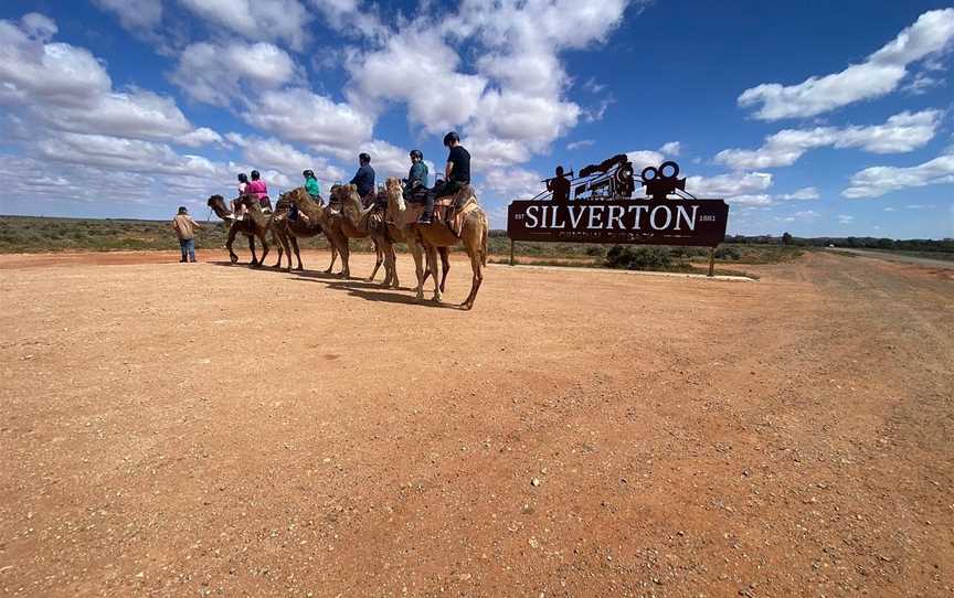 Silverton Outback Camels, Silverton, NSW