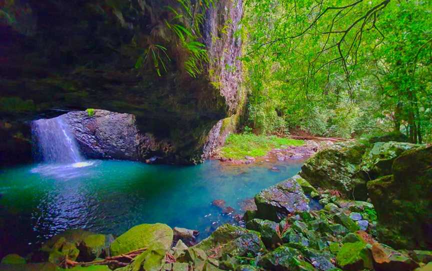 Gold Coast Rainforest Tours & Hikes, Surfers Paradise, QLD