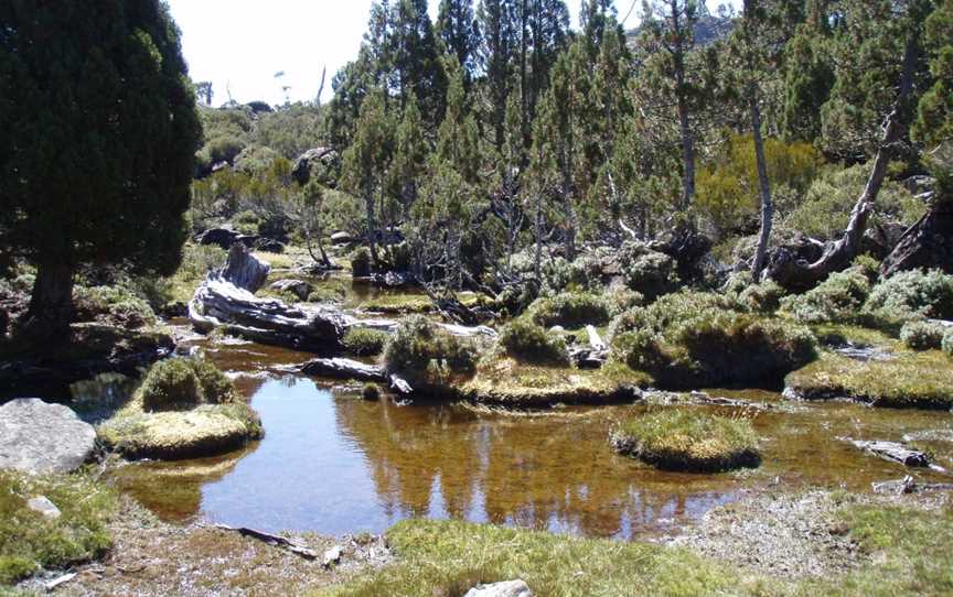 Tasmanian Wilderness Experiences, Glenfern, TAS