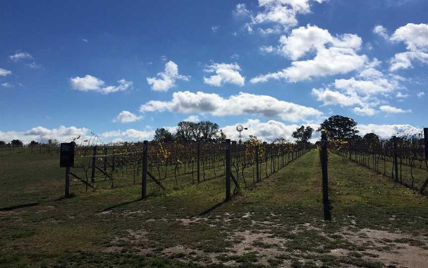 Vines & Wines, Canberra, ACT