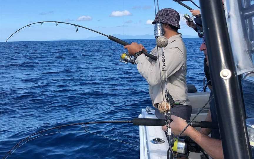 GBR Sport Fishing Charters, Cairns City, QLD