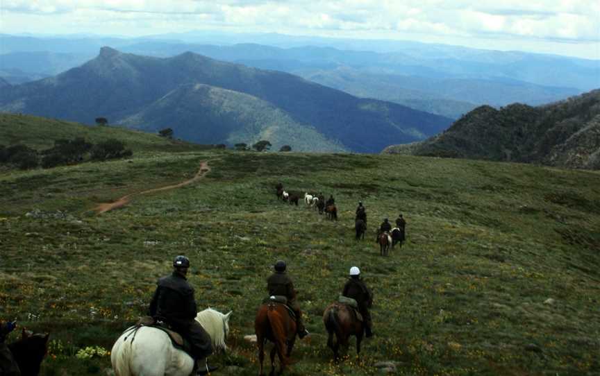 McCormack's Mountain Valley Trail Rides- Day Tours, Merrijig, VIC