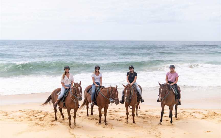 Horse About Tours, Tuncurry, NSW