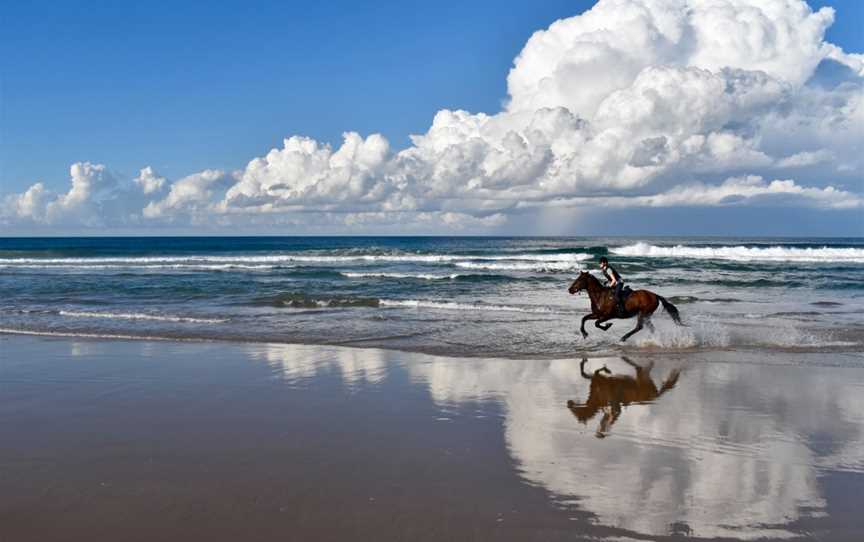 Southern Cross Horse Treks, Lorne, NSW