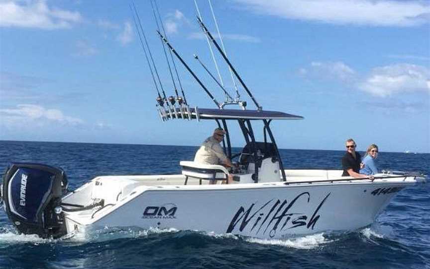 Willfish, Airlie Beach, QLD