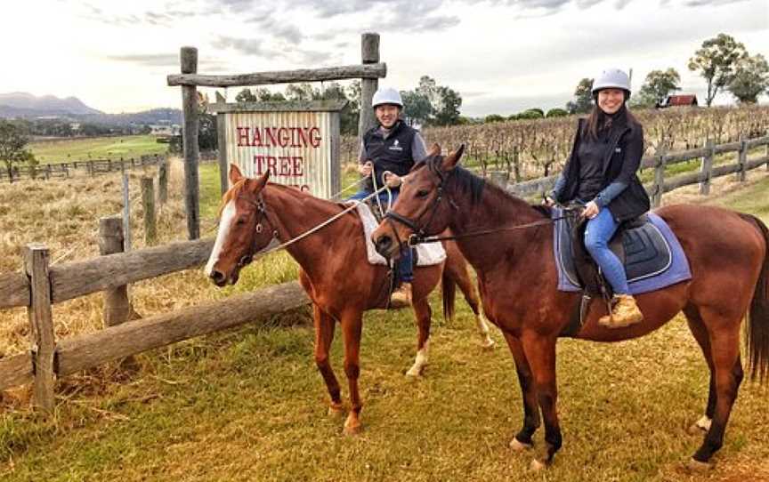 Murchessons Equine Wine And Dine Tours, Pokolbin, NSW