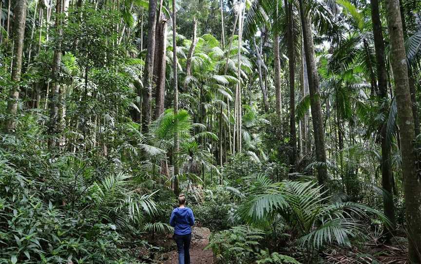 Gold Coast Photography Tours, Coomera, QLD