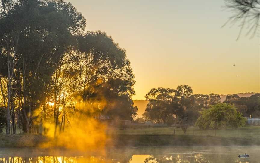 Mudgee Hopper, Mudgee, NSW