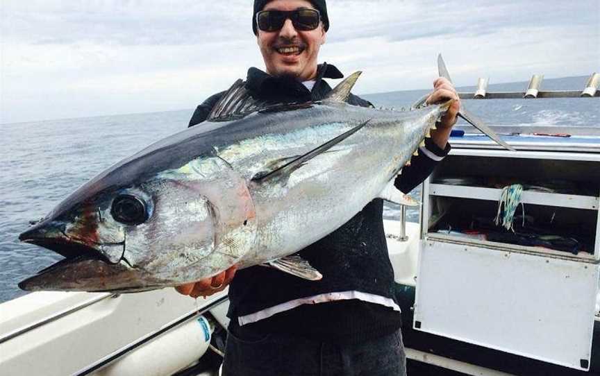 Hit n Run Fishing Charters, Apollo Bay, VIC