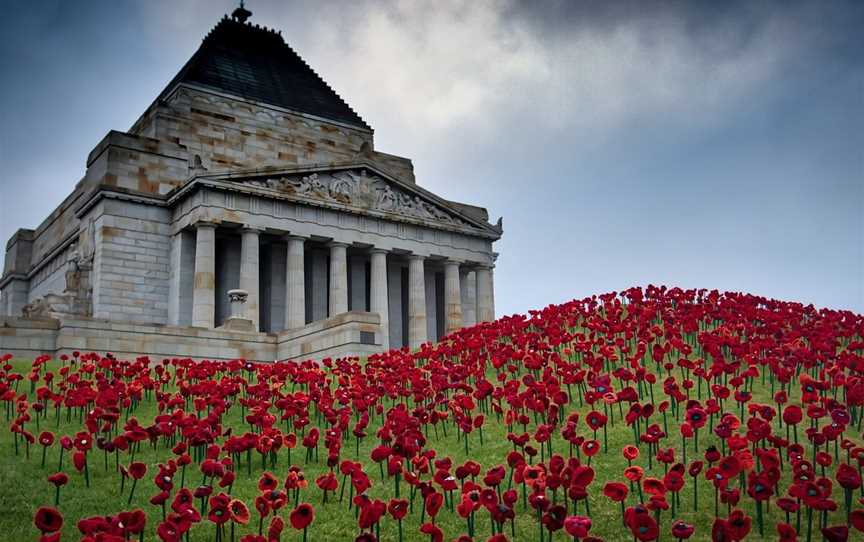 Will Faulkner Photography Tours, Melbourne, VIC