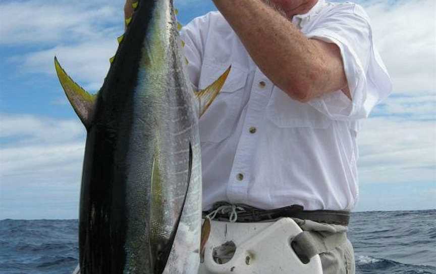 Smithys Fishing Charters, Minyama, QLD