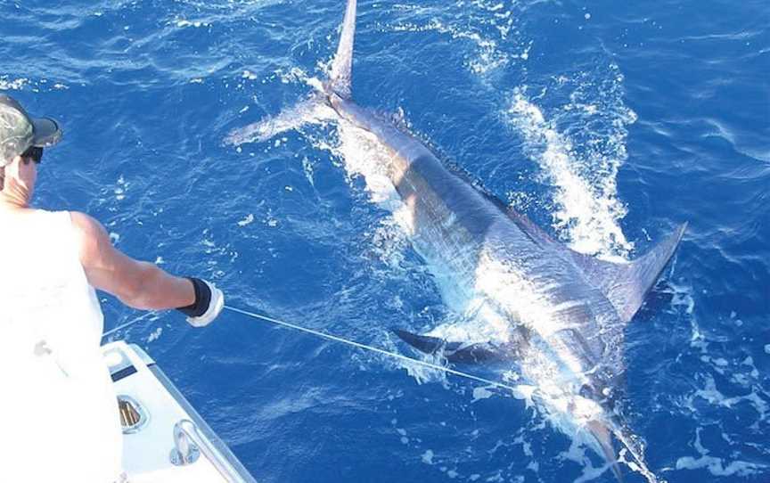 Hot Fishing Charters, Bermagui, NSW