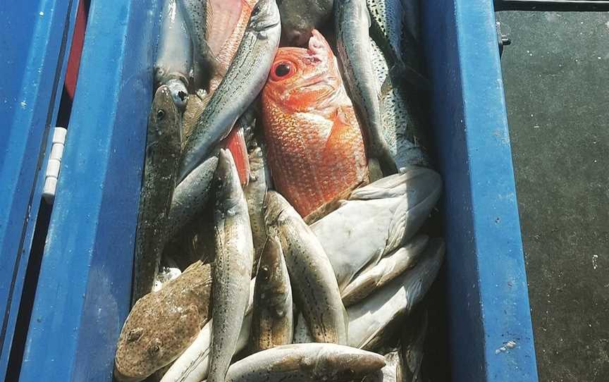 Keen as Fish, Marion Bay, SA