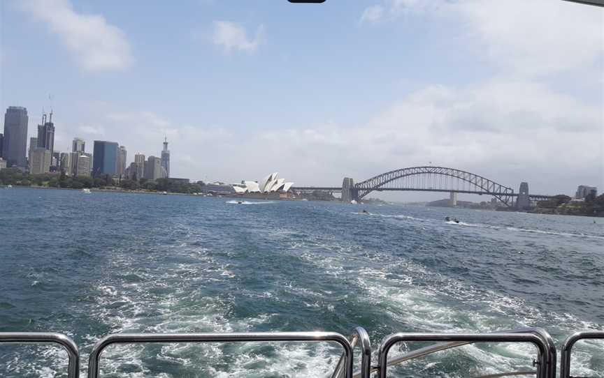 Sydney Famous Seafood Lunch Cruise - Alan Corporation, Sydney, NSW