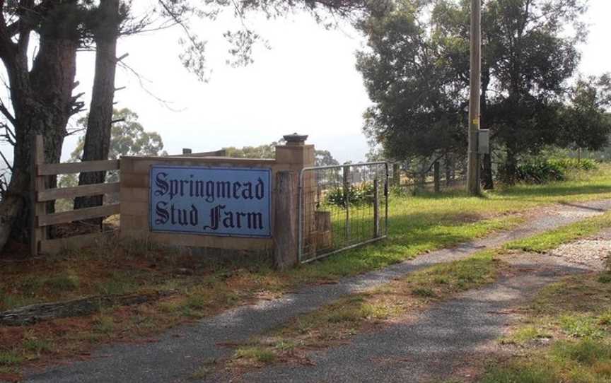 Springmead Farm Tours, Rydal, NSW